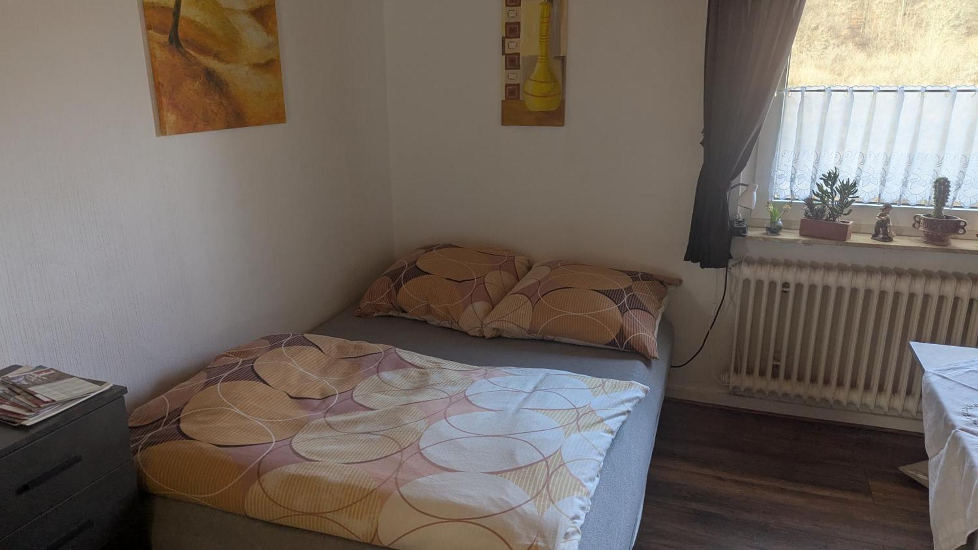 Ferienwohnung Mit Terrasse Fuer 1-4 Personen Altena Ngoại thất bức ảnh